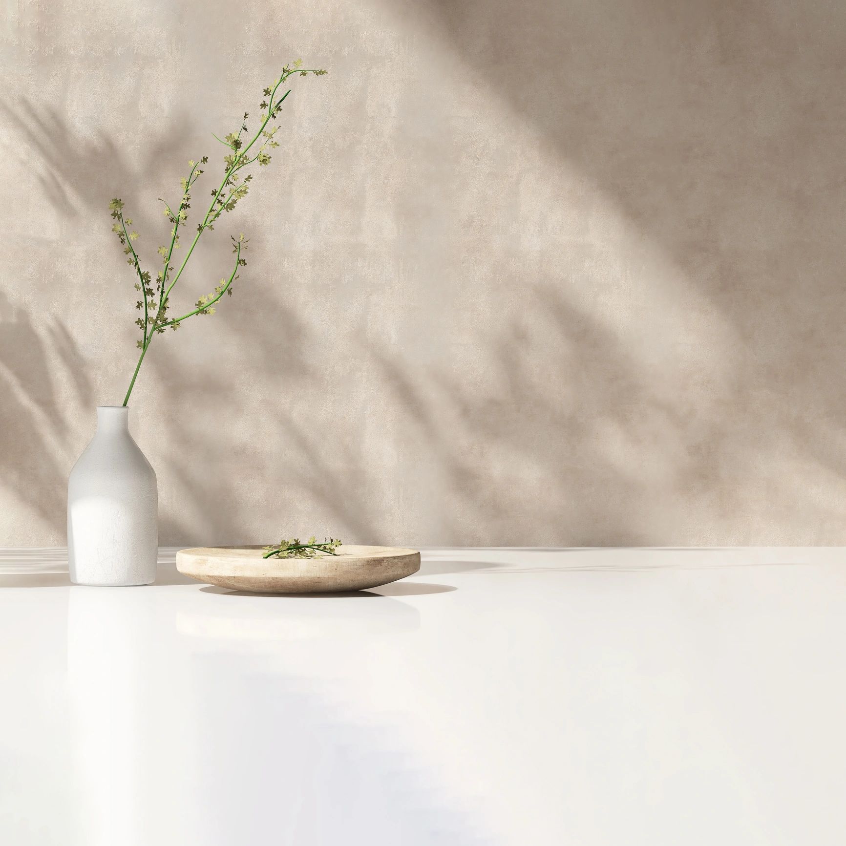 Minimal still life with plant and natural materials in soft sunlight